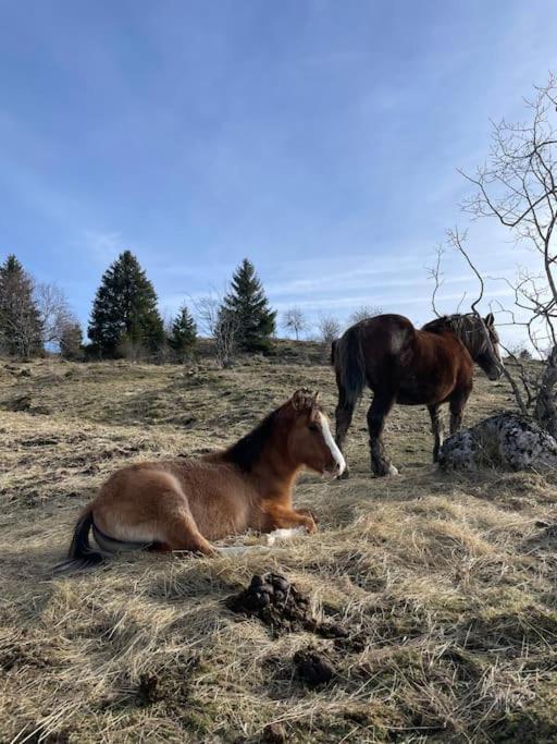 Chic & Champetre Au Coeur Du Haut-Jura Lamoura Εξωτερικό φωτογραφία